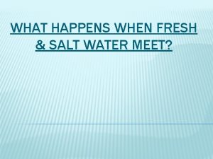 WHAT HAPPENS WHEN FRESH SALT WATER MEET MAYBE