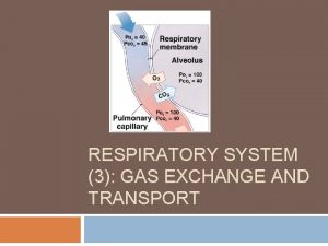 RESPIRATORY SYSTEM 3 GAS EXCHANGE AND TRANSPORT Gas