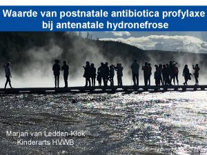 Waarde van postnatale antibiotica profylaxe bij antenatale hydronefrose