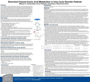 Branched Chained Amino Acid Metabolism in Urea Cycle