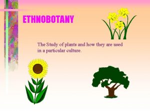 ETHNOBOTANY The Study of plants and how they