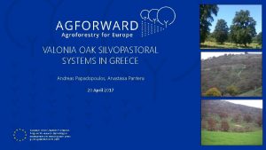 VALONIA OAK SILVOPASTORAL SYSTEMS IN GREECE Andreas Papadopoulos