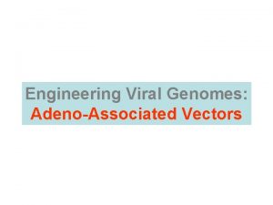 Engineering Viral Genomes AdenoAssociated Vectors Viral vectors Parvoviruses