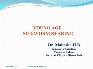 YOUNG AGE SILKWORM REARING Dr Mahesha H B