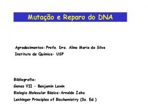 Mutao e Reparo do DNA Agradecimentos Profa Dra