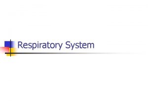 Respiratory System Two Zones of the Respiratory System