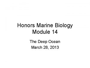 Honors Marine Biology Module 14 The Deep Ocean