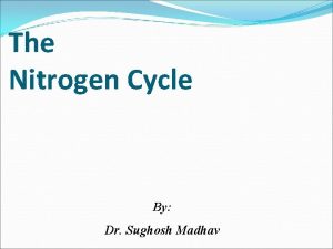 The Nitrogen Cycle By Dr Sughosh Madhav Appreciable