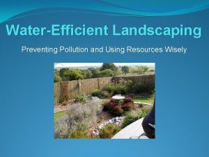 WaterEfficient Landscaping Preventing Pollution and Using Resources Wisely