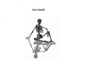 Het skelet Wat weet je van het skelet