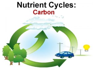 Nutrient Cycles Carbon Recall Carbon Stores Accumulations of
