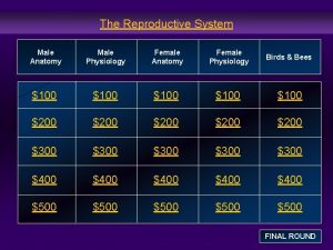 The Reproductive System Male Anatomy Male Physiology Female