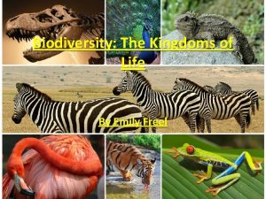 Biodiversity The Kingdoms of Life By Emily Freel