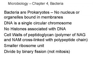 Microbiology Chapter 4 Bacteria are Prokaryotes No nucleus