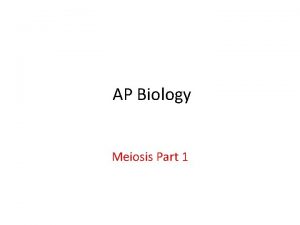 AP Biology Meiosis Part 1 Interphase MITOSIS MEIOSIS