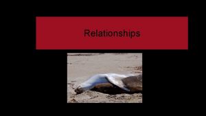 Relationships Essential Question What are the relationships between
