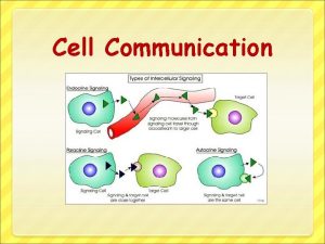 Cell Communication Overview The Cellular Internet Celltocell communication