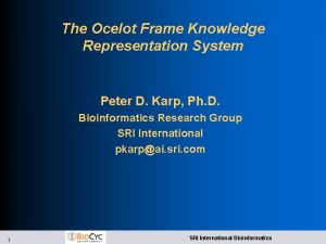 The Ocelot Frame Knowledge Representation System Peter D