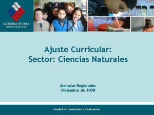 Ajuste Curricular Sector Ciencias Naturales Jornadas Regionales Diciembre