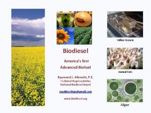 Yellow Grease Biodiesel Americas first Advanced Biofuel Animal