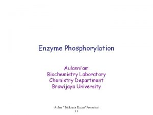 Enzyme Phosphorylation Aulanniam Biochemistry Laboratory Chemistry Department Brawijaya