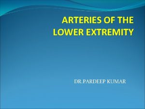 ARTERIES OF THE LOWER EXTREMITY DR PARDEEP KUMAR