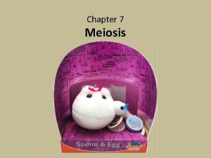 Chapter 7 Meiosis Meiosis Asexual vs sexual reproduction