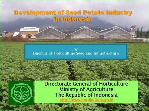 Development of Seed Potato Industry in Indonesia by