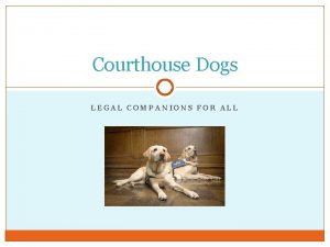 Courthouse Dogs LEGAL COMPANIONS FOR ALL History First