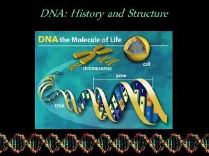 DNA History and Structure Rosalind Franklin First person