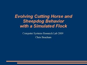 Evolving Cutting Horse and Sheepdog Behavior with a