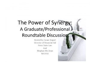 The Power of Synergy A GraduateProfessional Roundtable Discussion