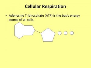 Cellular Respiration Adenosine Triphosphate ATP is the basic