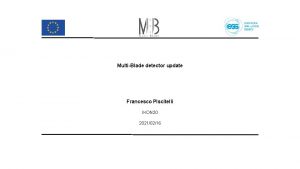 MultiBlade detector update Francesco Piscitelli IKON 20 20210216