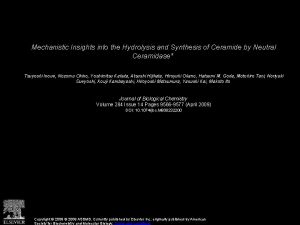 Mechanistic Insights into the Hydrolysis and Synthesis of