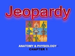 ANATOMY PHYSIOLOGY CHAPTER 1 Planes Body Systems Body