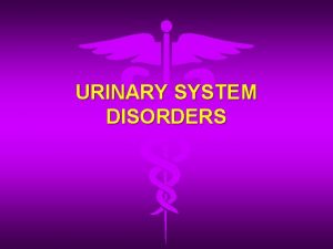 URINARY SYSTEM DISORDERS Cystitis bladder infection An inflammation