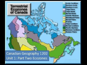 Canadian Geography 1202 Unit 1 Part Two Ecozones