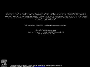 Heparan Sulfate Proteoglycan Isoforms of the CD 44