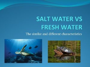 SALT WATER VS FRESH WATER The similar and