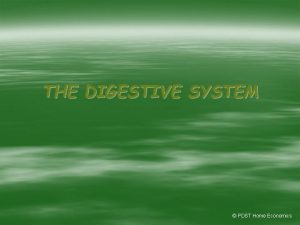 THE DIGESTIVE SYSTEM PDST Home Economics Without food