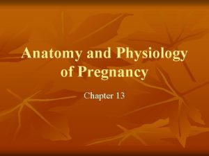 Anatomy and Physiology of Pregnancy Chapter 13 Learning