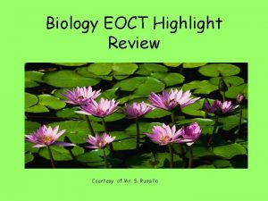 Biology EOCT Highlight Review Courtesy of Mr S