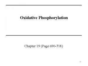 Oxidative Phosphorylation Chapter 19 Page 690 718 1