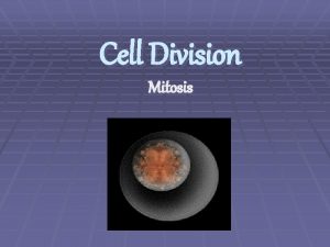 Cell Division Mitosis Reasons for Mitosis There are