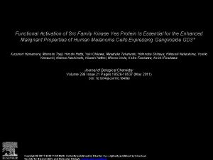 Functional Activation of Src Family Kinase Yes Protein