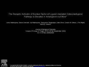 The Receptor Activator of Nuclear FactorB Ligandmediated Osteoclastogenic
