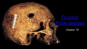 Forensic Anthropology Chapter 13 Anthropology Scientific study of