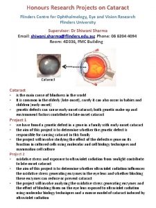 Honours Research Projects on Cataract Flinders Centre for