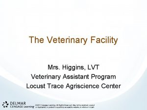 The Veterinary Facility Mrs Higgins LVT Veterinary Assistant